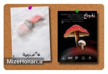 Picsart_24-12-07_20-52-49-652