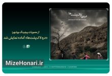 فیلم کوتاه «دره لاک‌پشت‌ها» به کارگردانی داریوش کرم‌پور پس از پایان مراحل تولید و پس‌تولید آماده نمایش شد.
