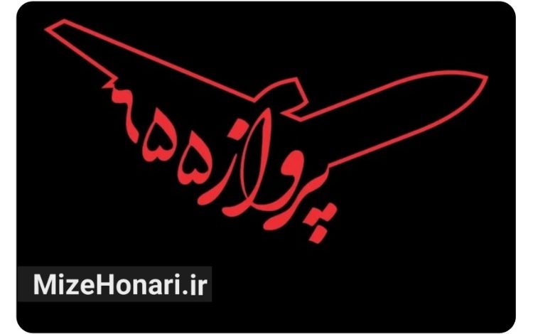 ده‌نمکی فاجعه پرواز ۶۵۵ را با هوش مصنوعی بازسازی می‌کند