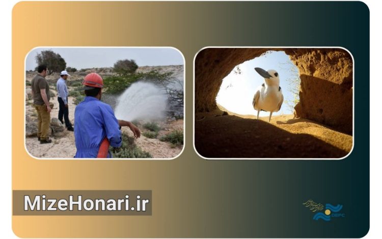 «شیدور» و «آدریانا مسافری از ایتالیا» در رقابت سینمایی هند