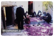 مستندی که طلای سرخ ایران را ماندگار کرد؛ «زعفران» را کجا ببینیم؟